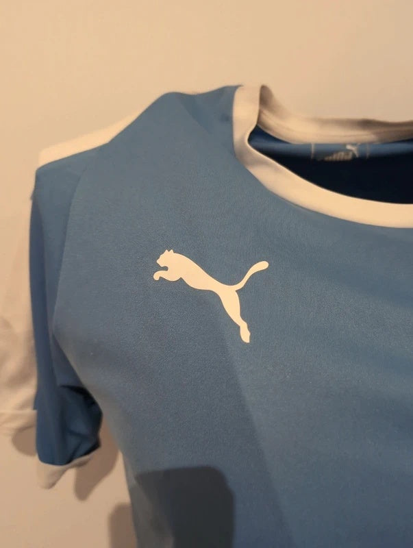 Uruguay 2020 2021 puma training football shirt soccer jersey M 703417 18